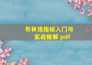 布林线指标入门与实战精解 pdf